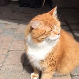 Meet your Posher, Alexandra